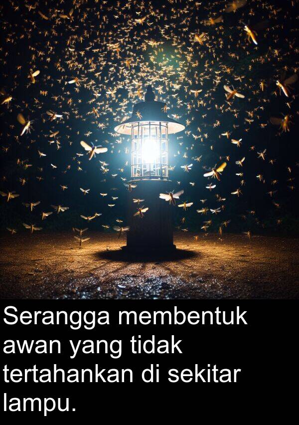 tertahankan: Serangga membentuk awan yang tidak tertahankan di sekitar lampu.