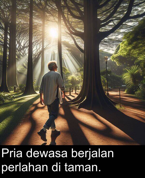 taman: Pria dewasa berjalan perlahan di taman.