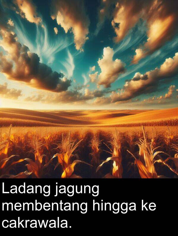 hingga: Ladang jagung membentang hingga ke cakrawala.