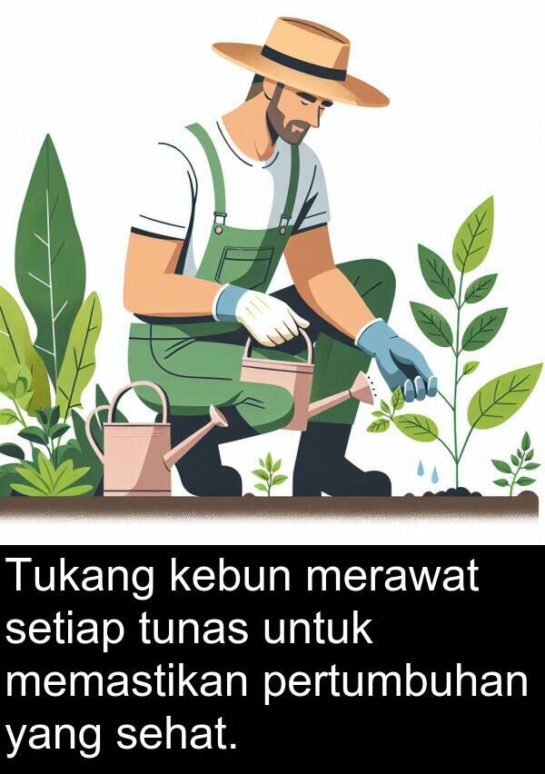 memastikan: Tukang kebun merawat setiap tunas untuk memastikan pertumbuhan yang sehat.