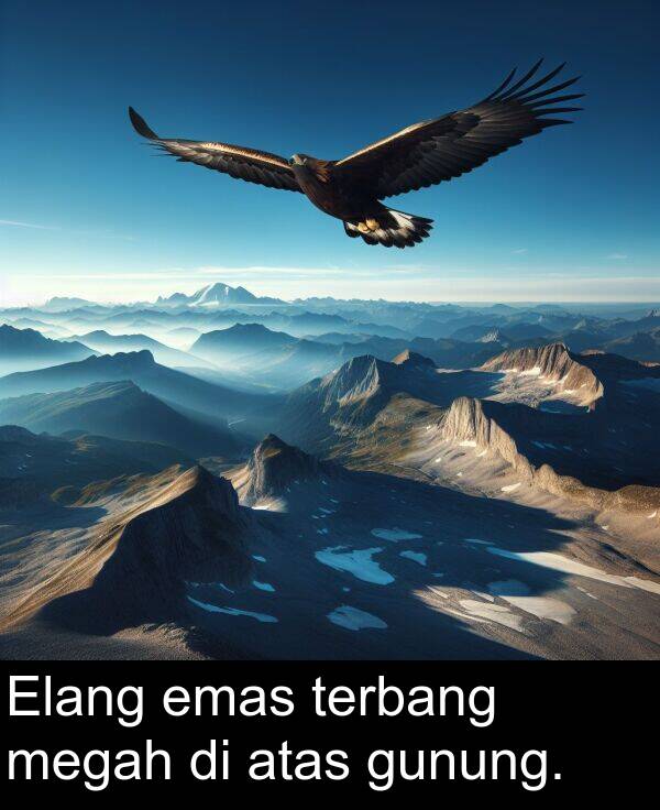 megah: Elang emas terbang megah di atas gunung.