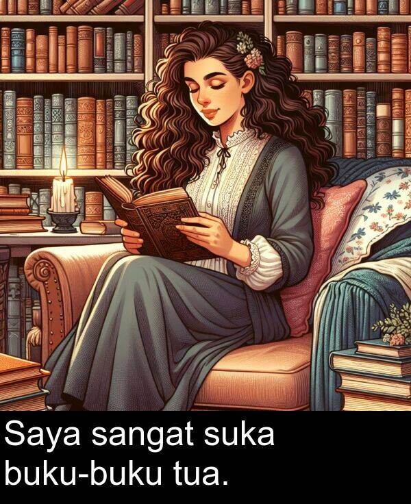 suka: Saya sangat suka buku-buku tua.