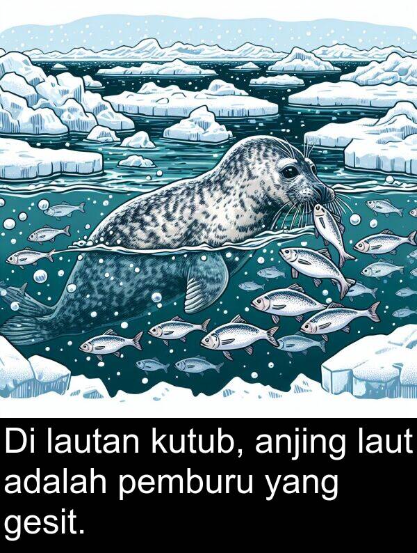 pemburu: Di lautan kutub, anjing laut adalah pemburu yang gesit.