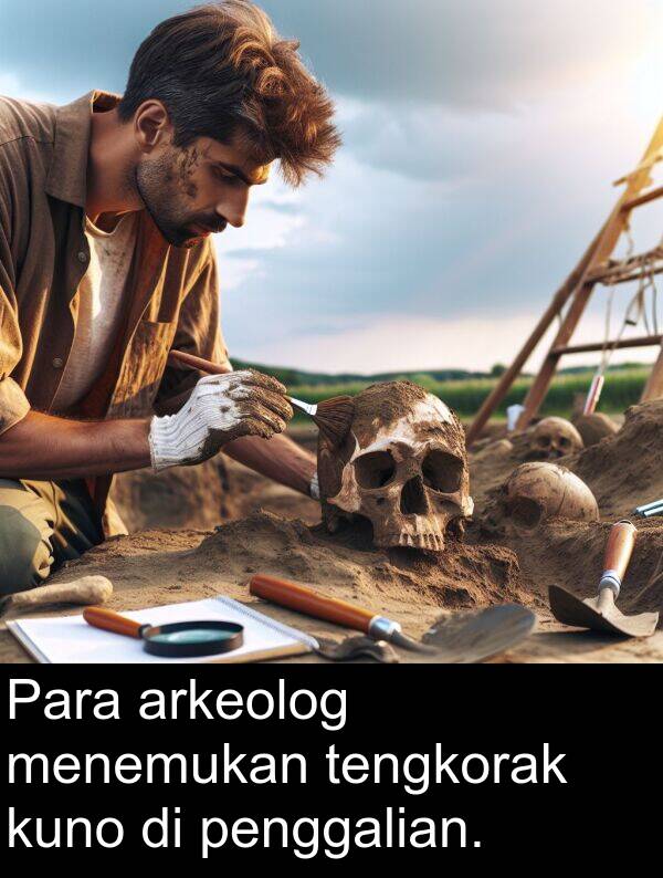 tengkorak: Para arkeolog menemukan tengkorak kuno di penggalian.