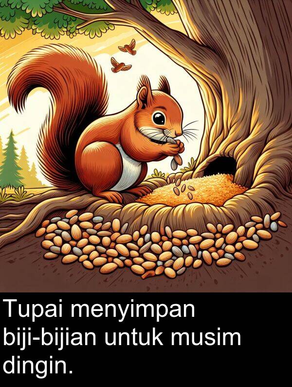 menyimpan: Tupai menyimpan biji-bijian untuk musim dingin.
