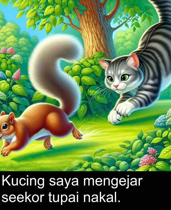 saya: Kucing saya mengejar seekor tupai nakal.