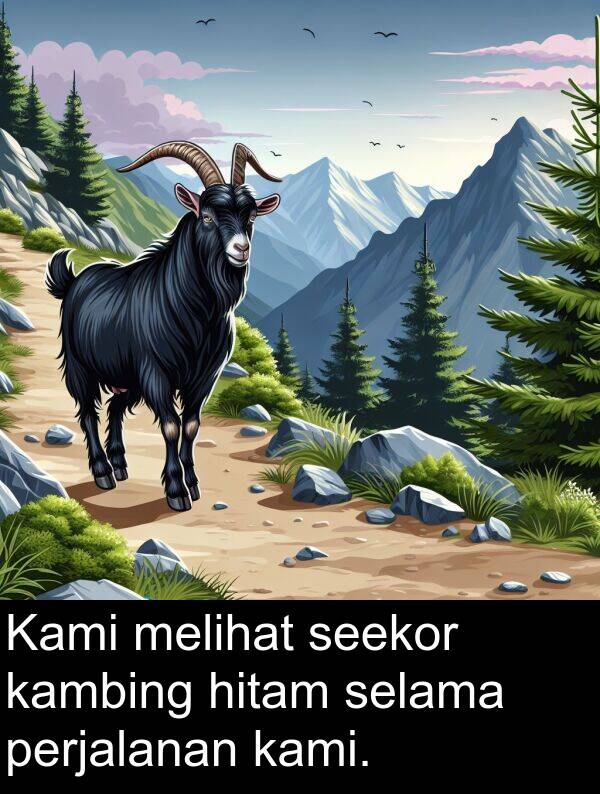 hitam: Kami melihat seekor kambing hitam selama perjalanan kami.