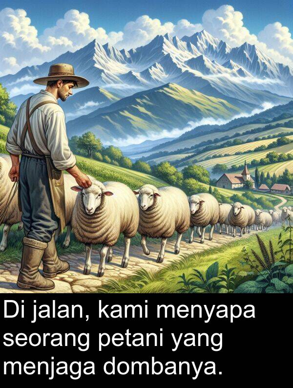 jalan: Di jalan, kami menyapa seorang petani yang menjaga dombanya.
