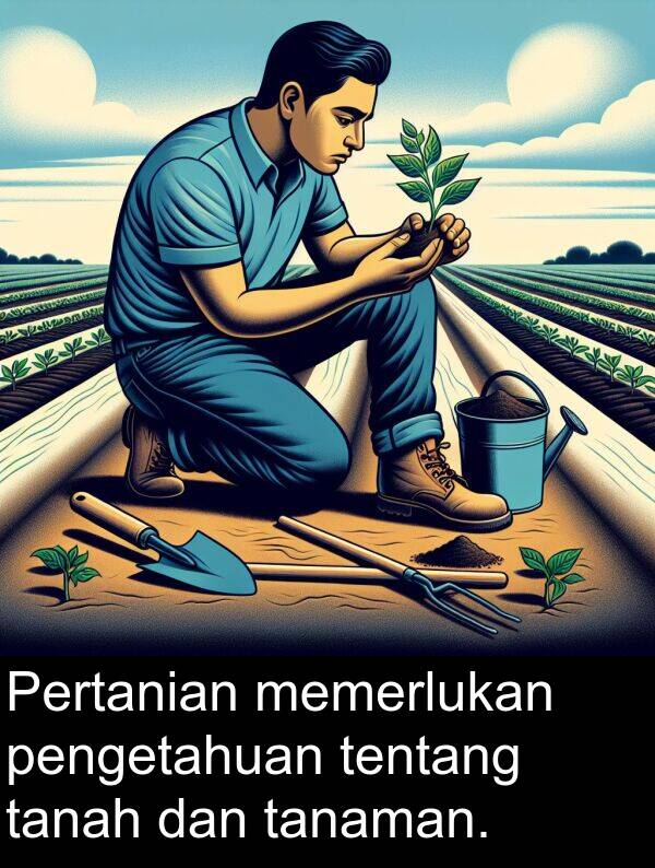 tanaman: Pertanian memerlukan pengetahuan tentang tanah dan tanaman.