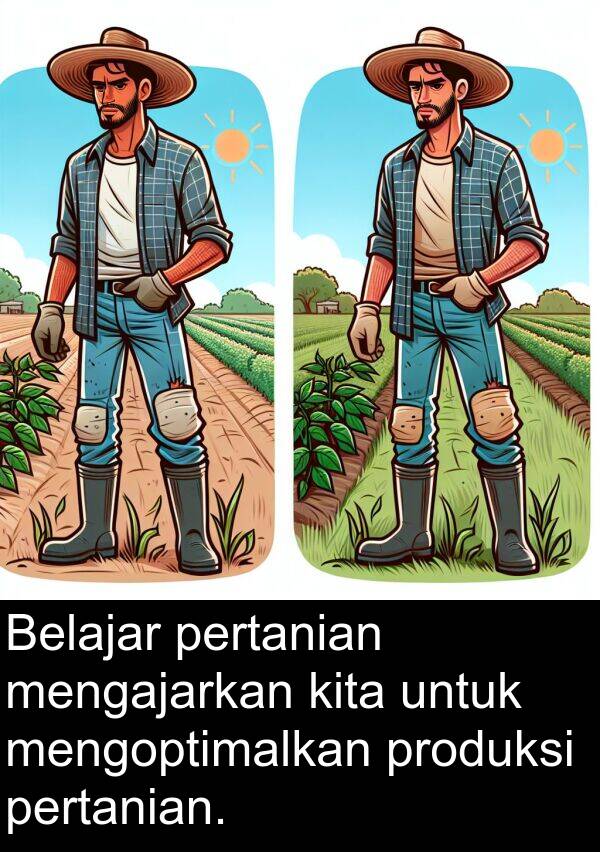 mengoptimalkan: Belajar pertanian mengajarkan kita untuk mengoptimalkan produksi pertanian.