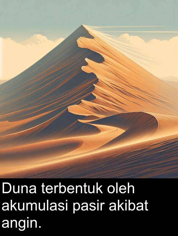 pasir: Duna terbentuk oleh akumulasi pasir akibat angin.