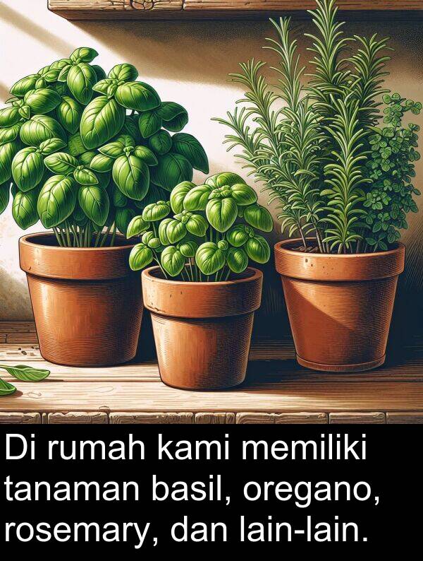 tanaman: Di rumah kami memiliki tanaman basil, oregano, rosemary, dan lain-lain.