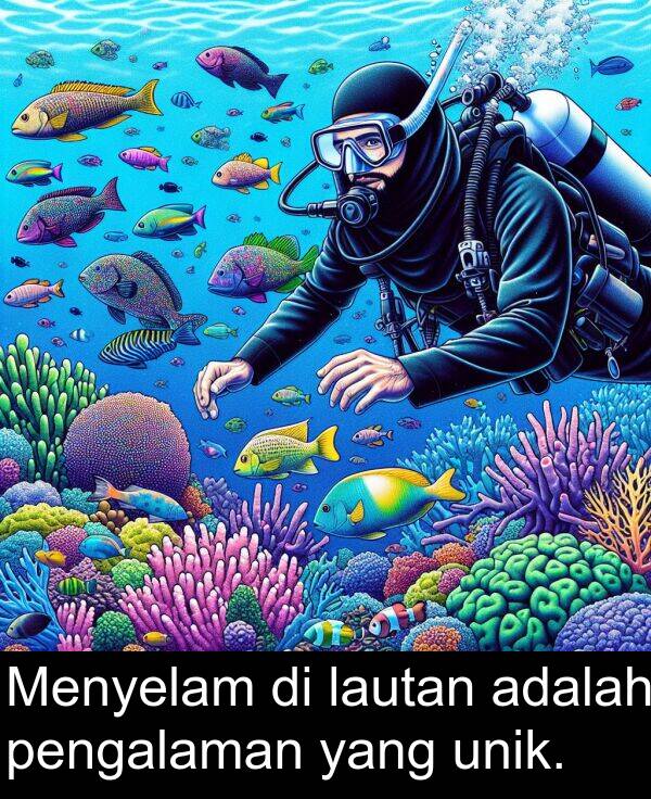 lautan: Menyelam di lautan adalah pengalaman yang unik.