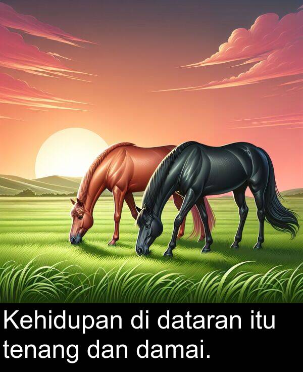 tenang: Kehidupan di dataran itu tenang dan damai.