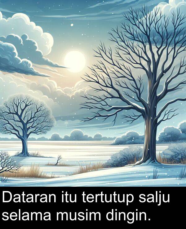 selama: Dataran itu tertutup salju selama musim dingin.