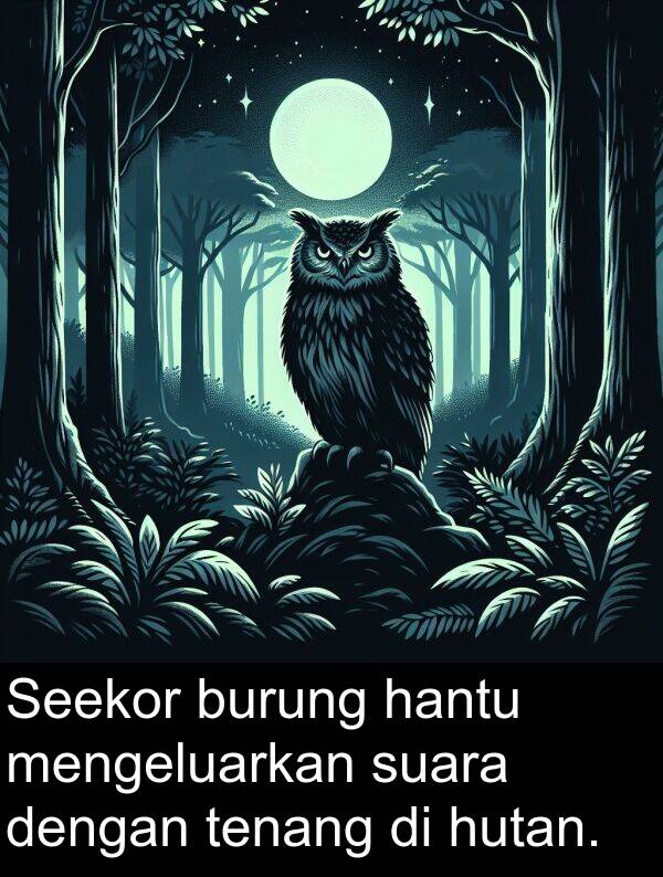 hutan: Seekor burung hantu mengeluarkan suara dengan tenang di hutan.