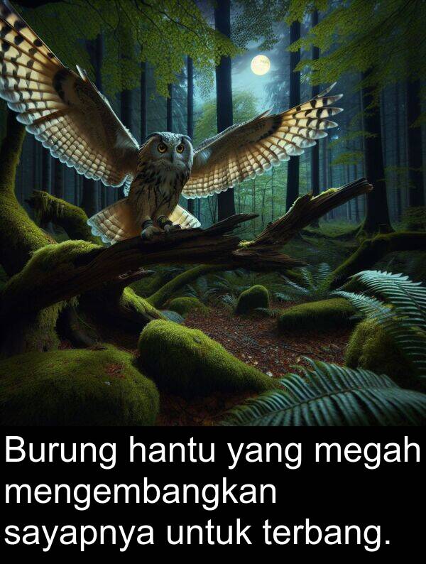 sayapnya: Burung hantu yang megah mengembangkan sayapnya untuk terbang.