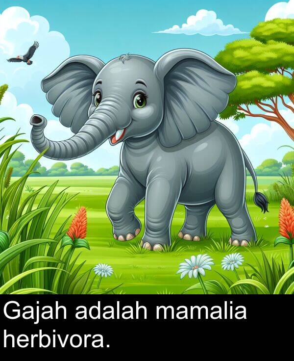mamalia: Gajah adalah mamalia herbivora.