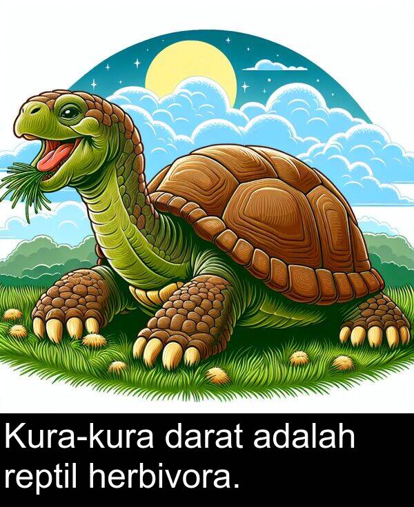 reptil: Kura-kura darat adalah reptil herbivora.