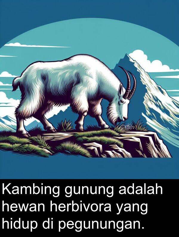 hewan: Kambing gunung adalah hewan herbivora yang hidup di pegunungan.