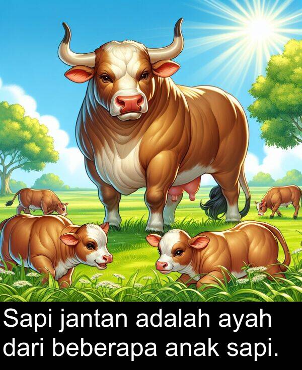 sapi: Sapi jantan adalah ayah dari beberapa anak sapi.
