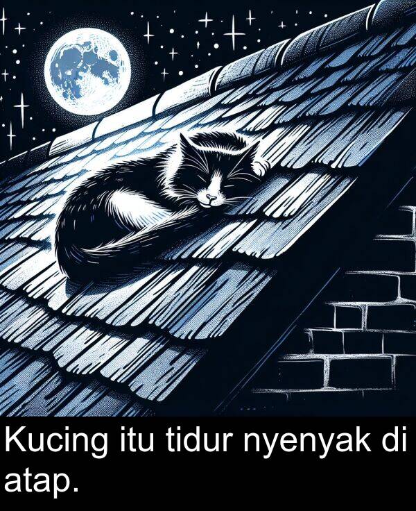 itu: Kucing itu tidur nyenyak di atap.