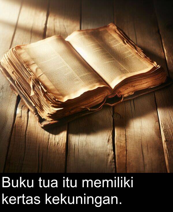 itu: Buku tua itu memiliki kertas kekuningan.