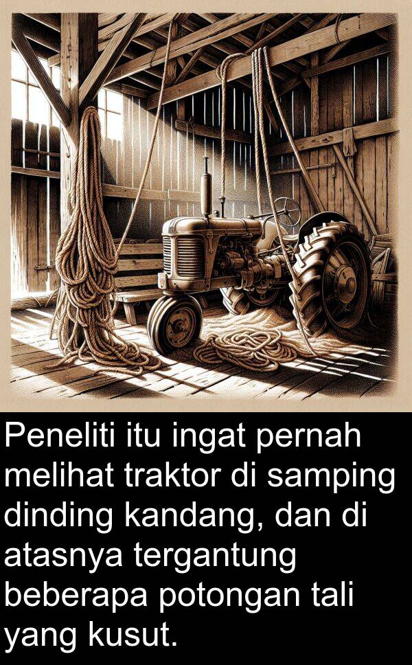 tali: Peneliti itu ingat pernah melihat traktor di samping dinding kandang, dan di atasnya tergantung beberapa potongan tali yang kusut.