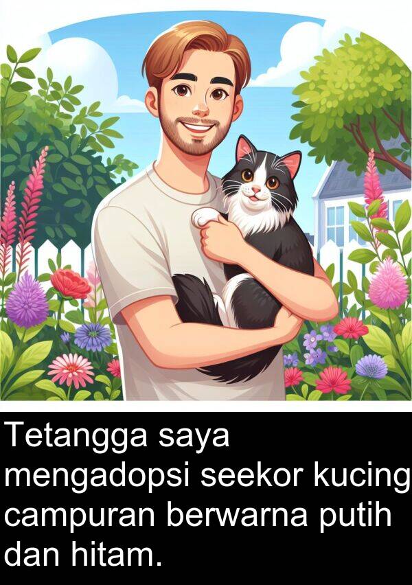 hitam: Tetangga saya mengadopsi seekor kucing campuran berwarna putih dan hitam.