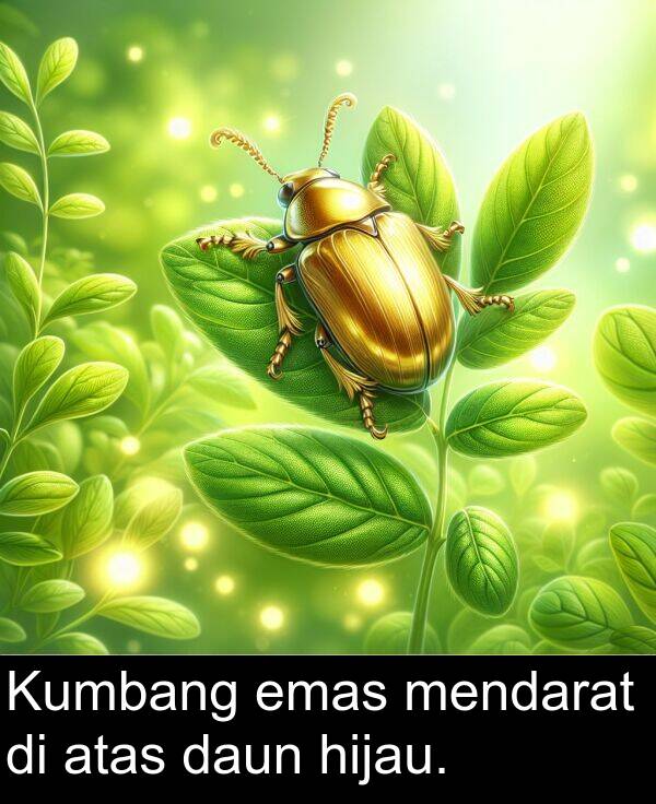 hijau: Kumbang emas mendarat di atas daun hijau.