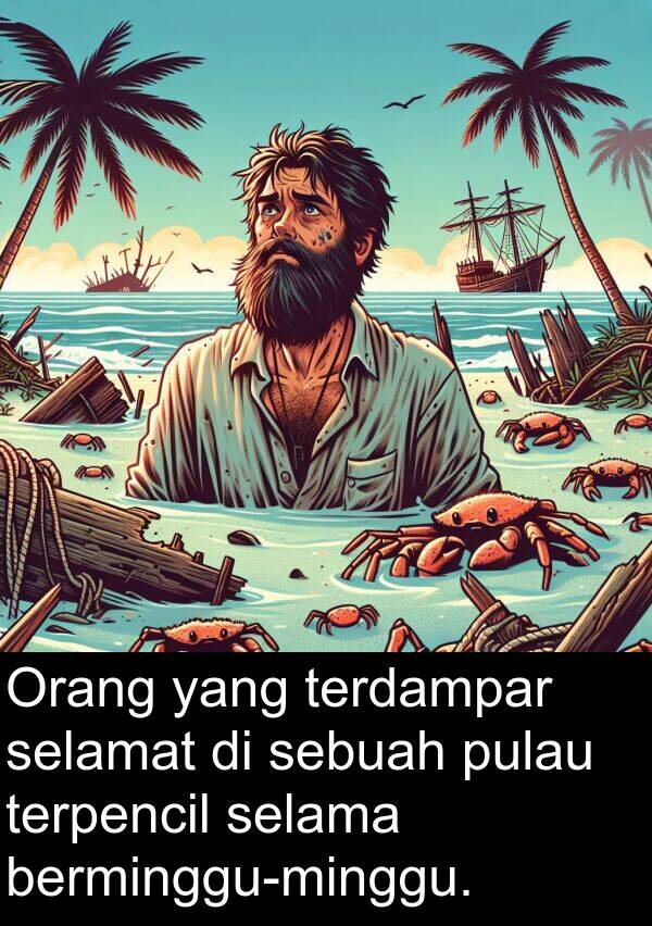 terdampar: Orang yang terdampar selamat di sebuah pulau terpencil selama berminggu-minggu.
