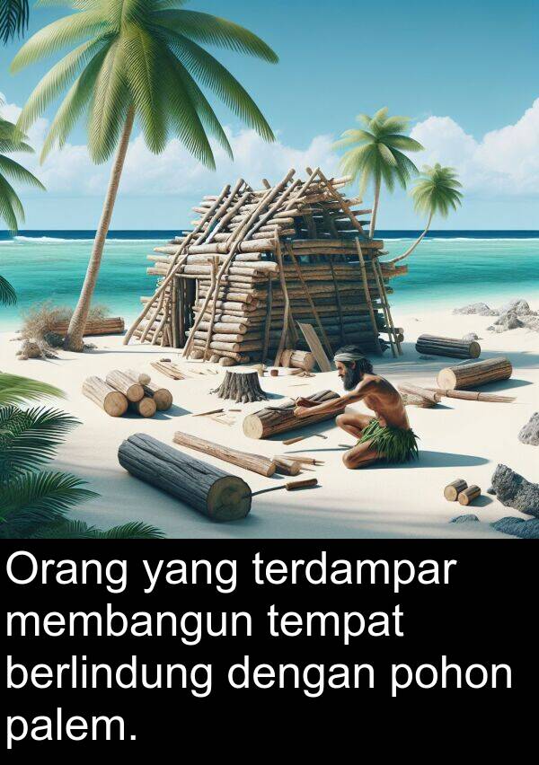 palem: Orang yang terdampar membangun tempat berlindung dengan pohon palem.