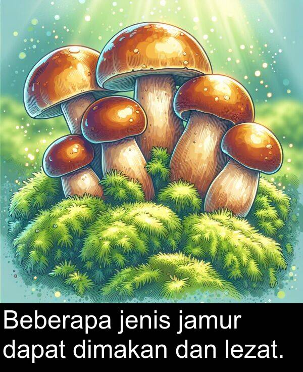 jamur: Beberapa jenis jamur dapat dimakan dan lezat.