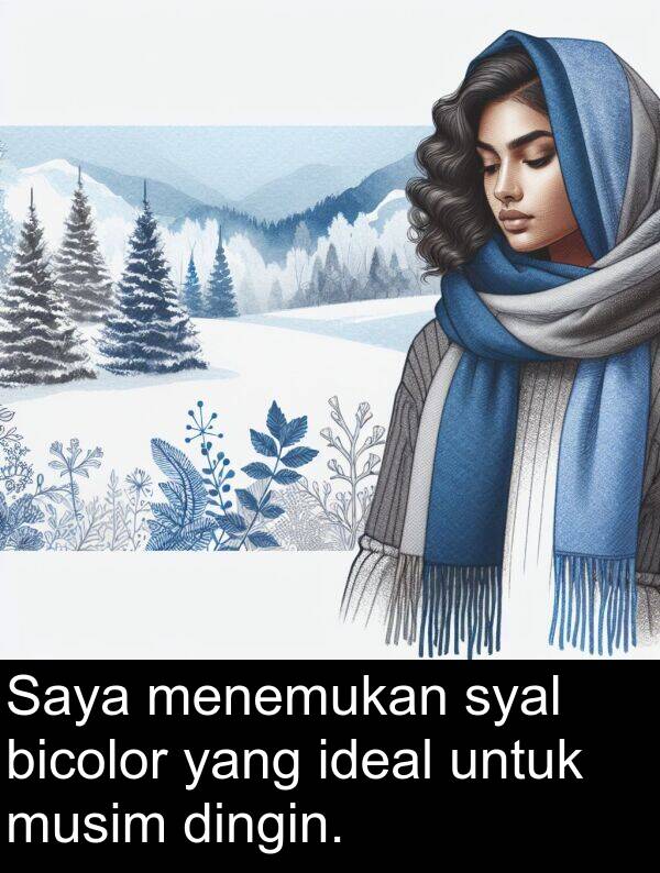 ideal: Saya menemukan syal bicolor yang ideal untuk musim dingin.