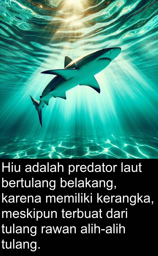 meskipun: Hiu adalah predator laut bertulang belakang, karena memiliki kerangka, meskipun terbuat dari tulang rawan alih-alih tulang.