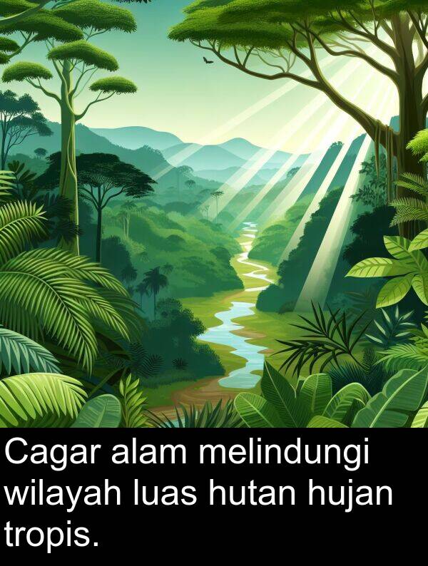 hutan: Cagar alam melindungi wilayah luas hutan hujan tropis.
