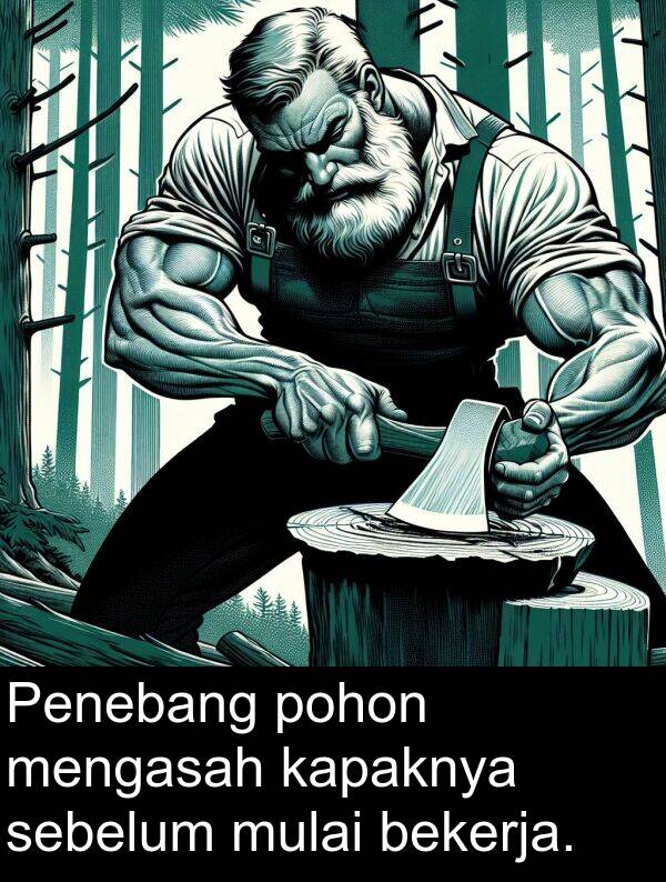 sebelum: Penebang pohon mengasah kapaknya sebelum mulai bekerja.