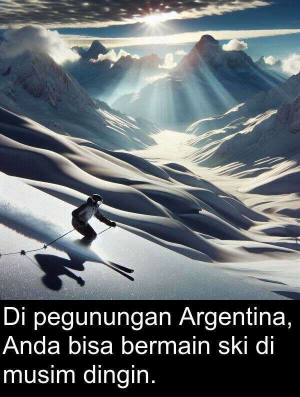 bisa: Di pegunungan Argentina, Anda bisa bermain ski di musim dingin.