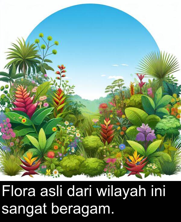 wilayah: Flora asli dari wilayah ini sangat beragam.