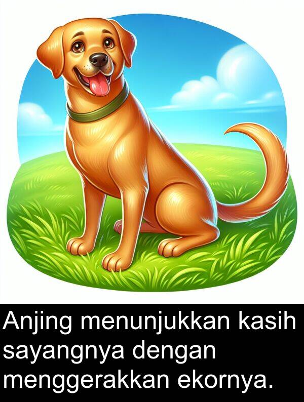 sayangnya: Anjing menunjukkan kasih sayangnya dengan menggerakkan ekornya.