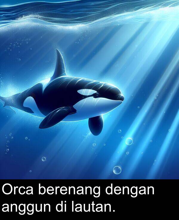 lautan: Orca berenang dengan anggun di lautan.