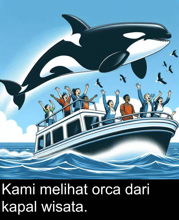 wisata: Kami melihat orca dari kapal wisata.