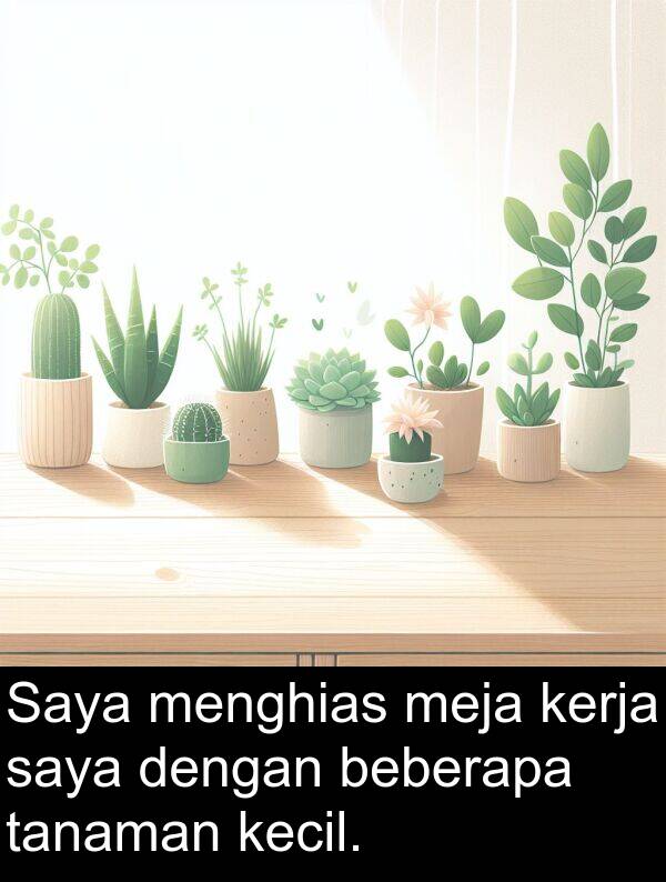 tanaman: Saya menghias meja kerja saya dengan beberapa tanaman kecil.