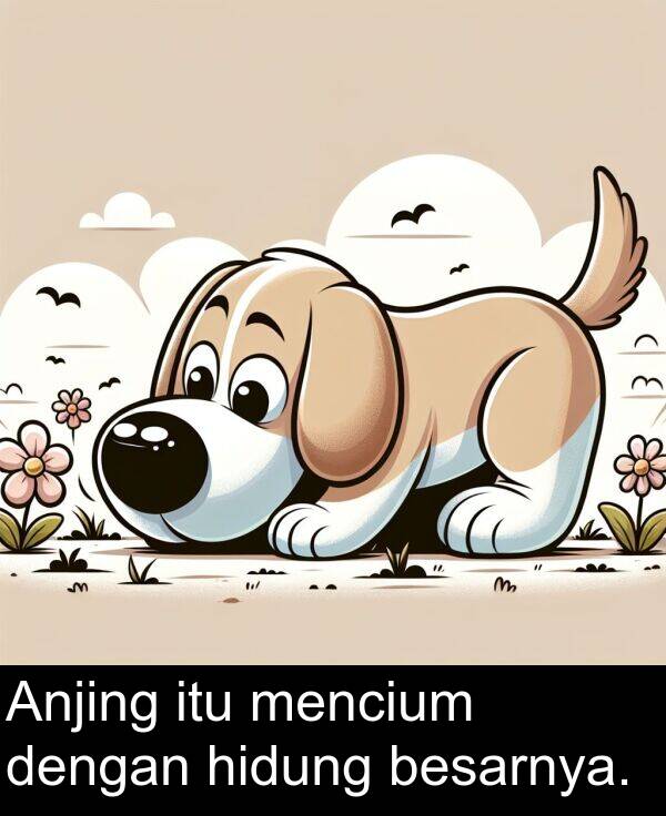 hidung: Anjing itu mencium dengan hidung besarnya.