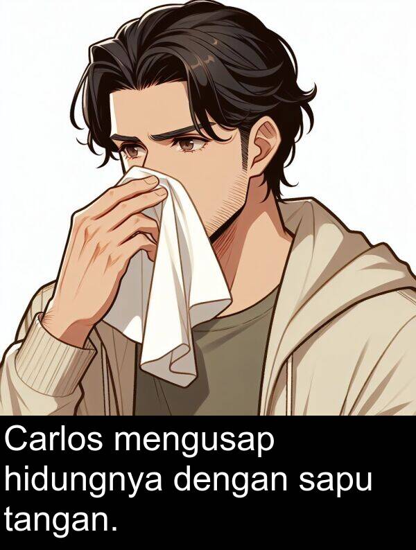sapu: Carlos mengusap hidungnya dengan sapu tangan.