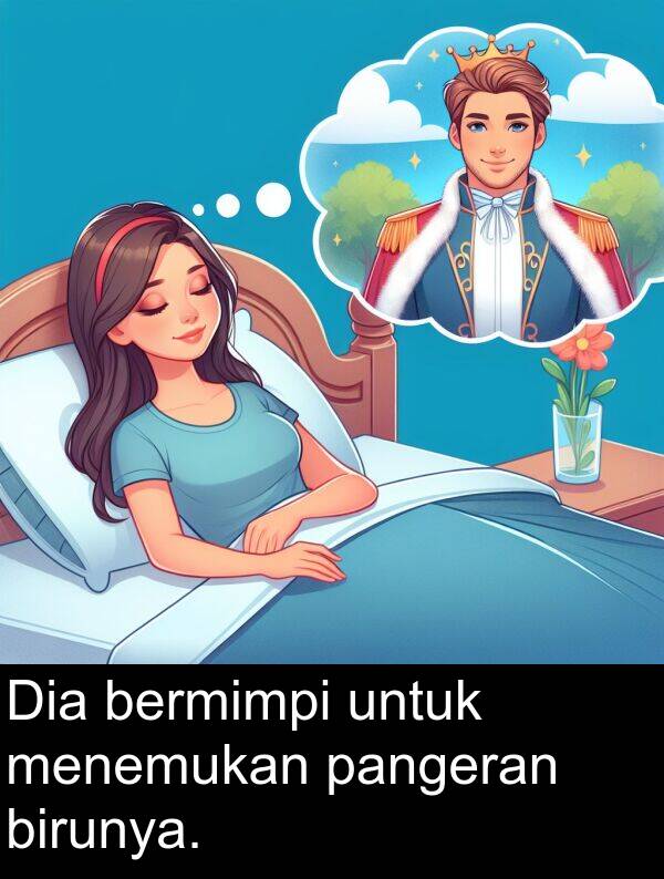 pangeran: Dia bermimpi untuk menemukan pangeran birunya.