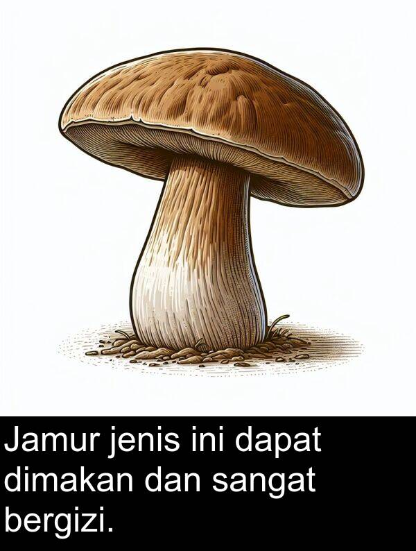 jenis: Jamur jenis ini dapat dimakan dan sangat bergizi.