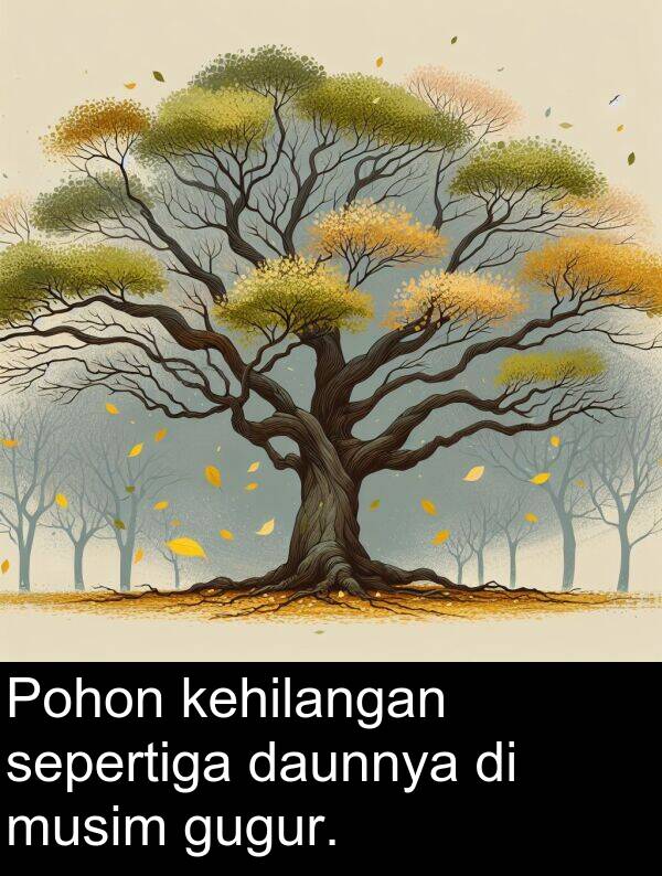 sepertiga: Pohon kehilangan sepertiga daunnya di musim gugur.