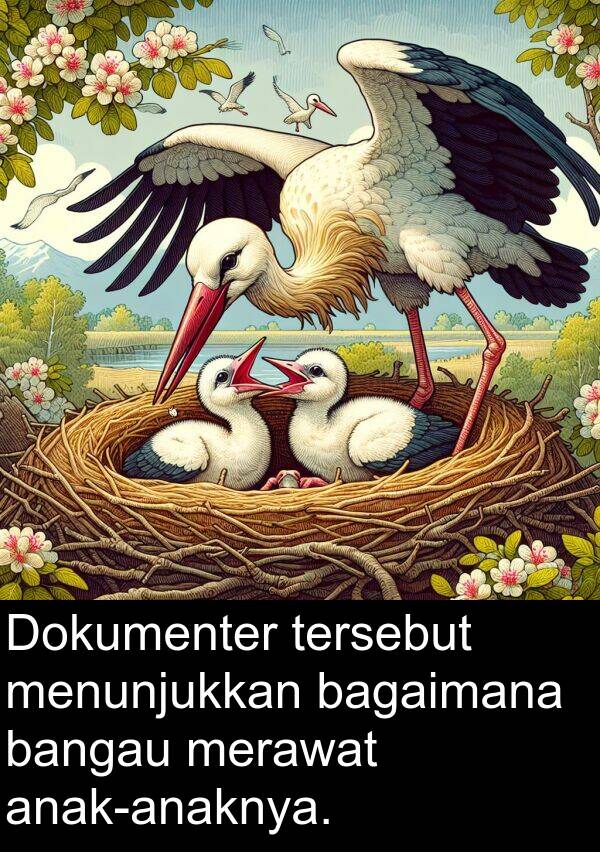 bagaimana: Dokumenter tersebut menunjukkan bagaimana bangau merawat anak-anaknya.