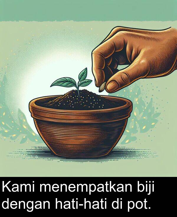 biji: Kami menempatkan biji dengan hati-hati di pot.
